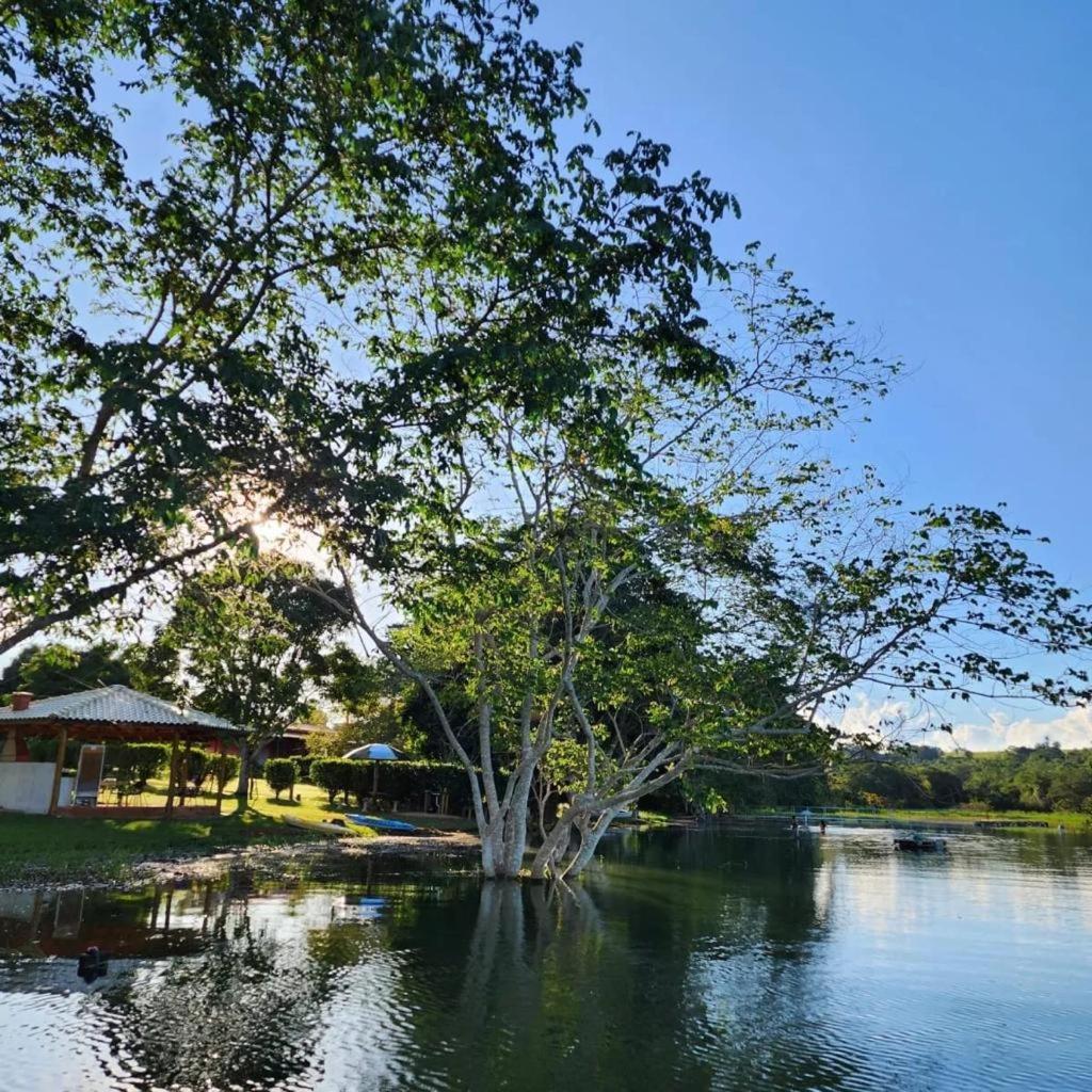 Pousada Aguas Claras/Canastra เดลฟีโนโปลิส ภายนอก รูปภาพ